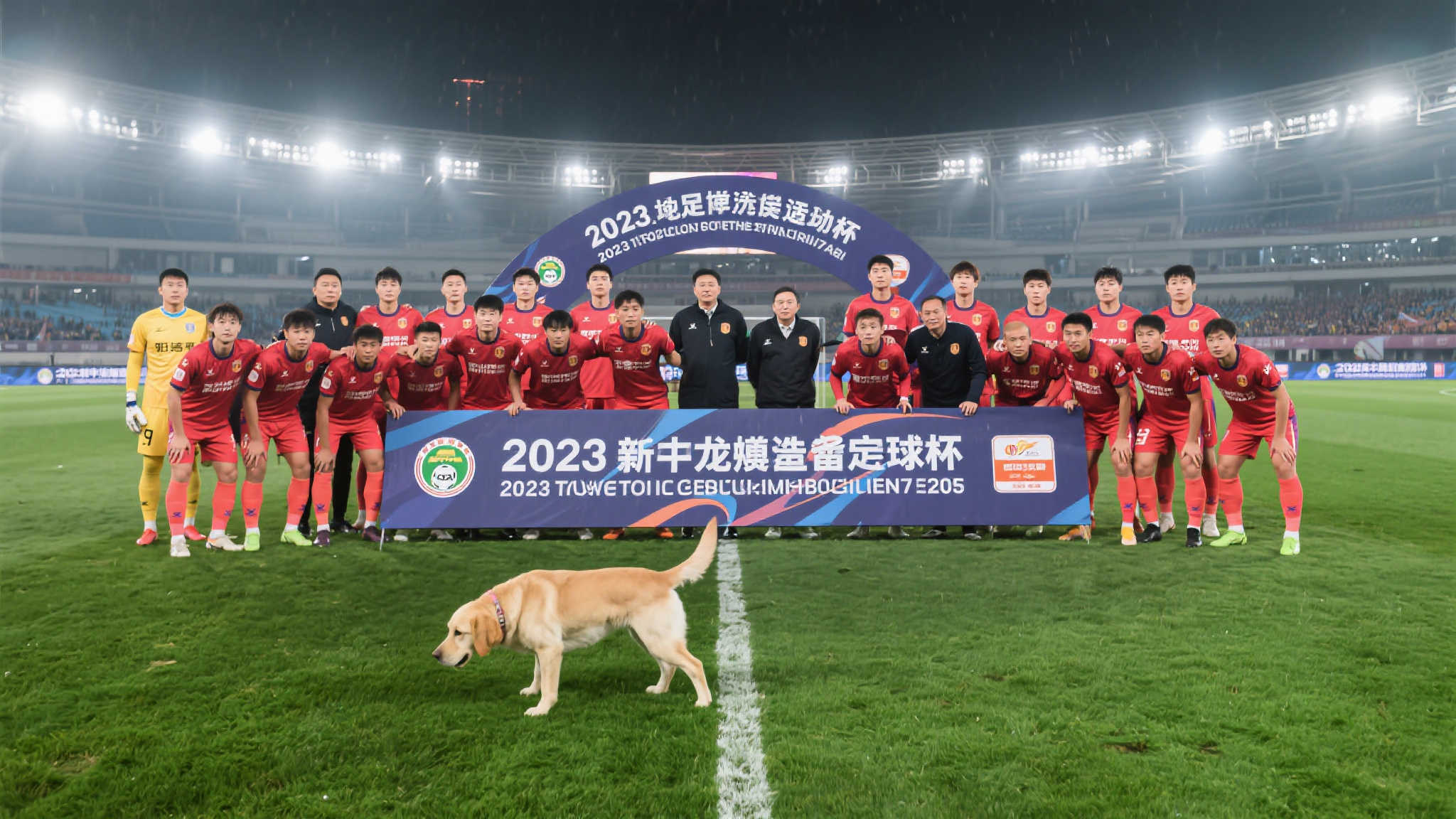 足协杯门线争议:此球该判点球吗? 因此,那次足协杯上的突发意外在大多数情况下不会改变